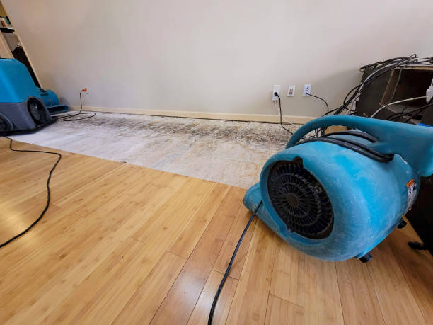 Professional Sewage Cleanup technician working in Howard, SD
